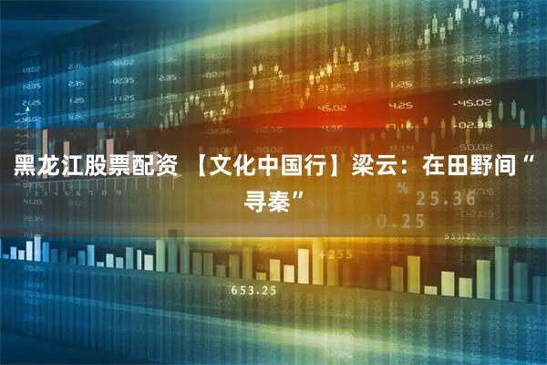 黑龙江股票配资 【文化中国行】梁云：在田野间“寻秦”